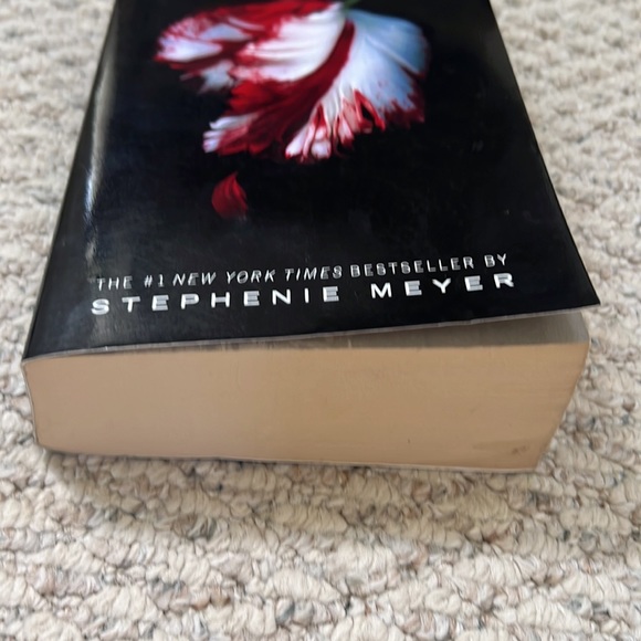 New Moon paperback, book 2 of 4 in Twilight Saga by Stephanie Meyer - Picture 5 of 16